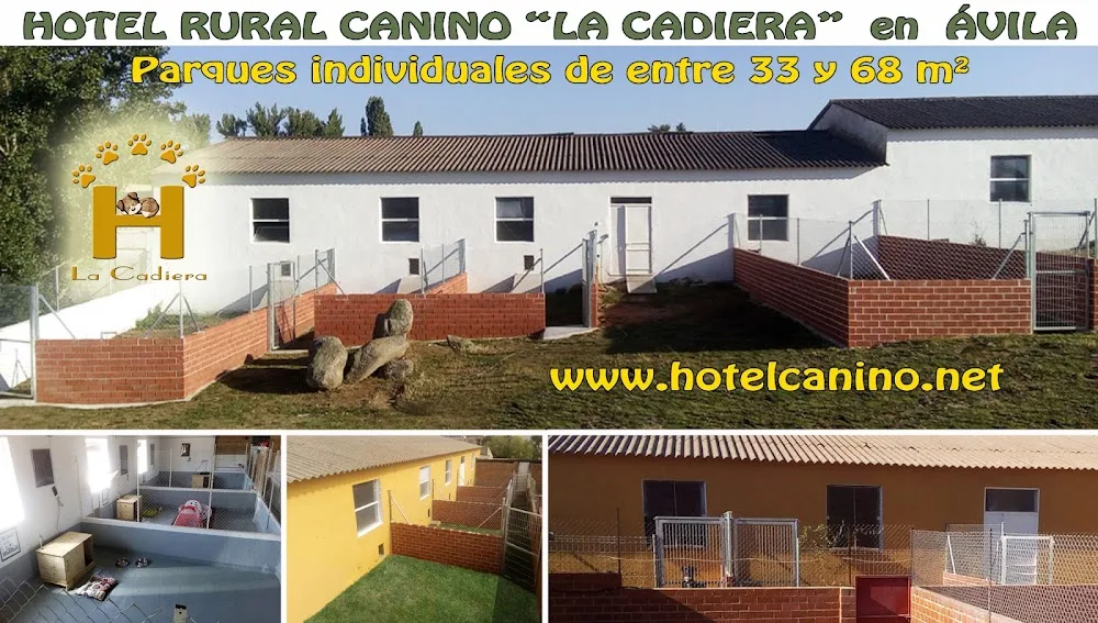 Centro Canino "La Cadiera". Cria de Caniches Toy y Enano y Hotel Rural Canino. - Ávila pet otel görseli 3