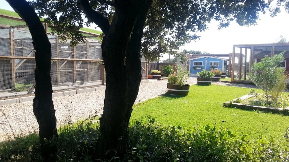 Gatosphera Hotel Felino - Ávila pet otel