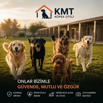 KMT KÖPEK OTEL PANSİYON - Aydın pet otel görseli 6