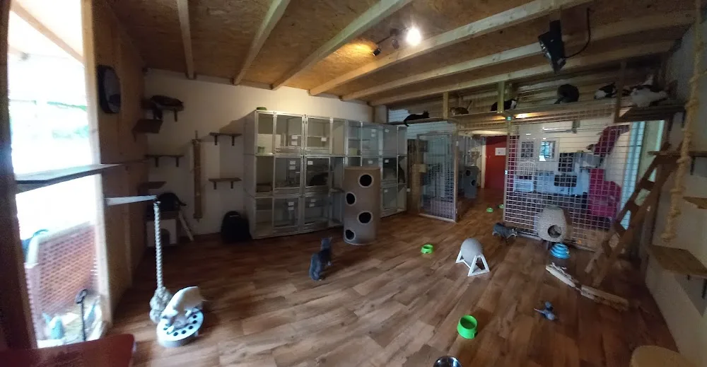 Kattenpension-De Katten Camping - Baarlo pet otel görseli 3