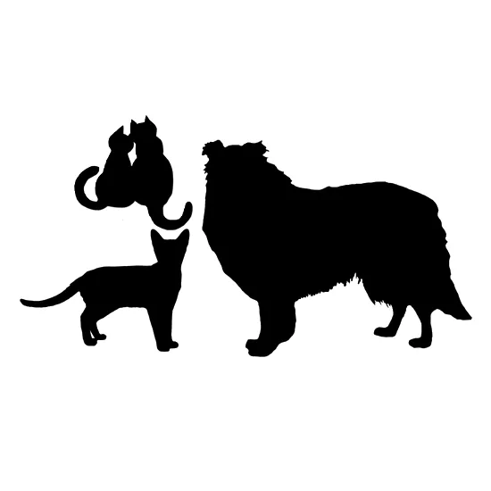 Poezenpension de Merel - Baarlo pet otel