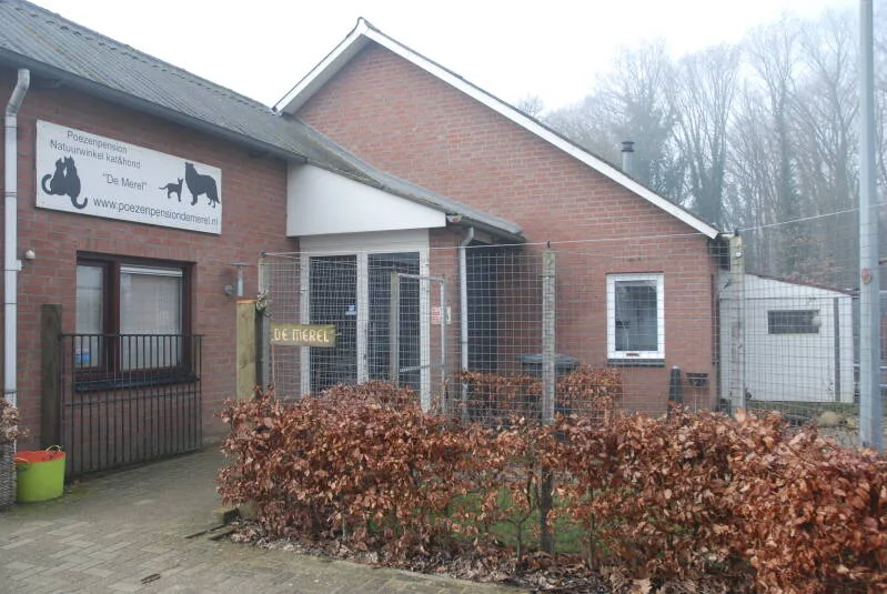 Poezenpension de Merel - Baarlo pet otel görseli 3