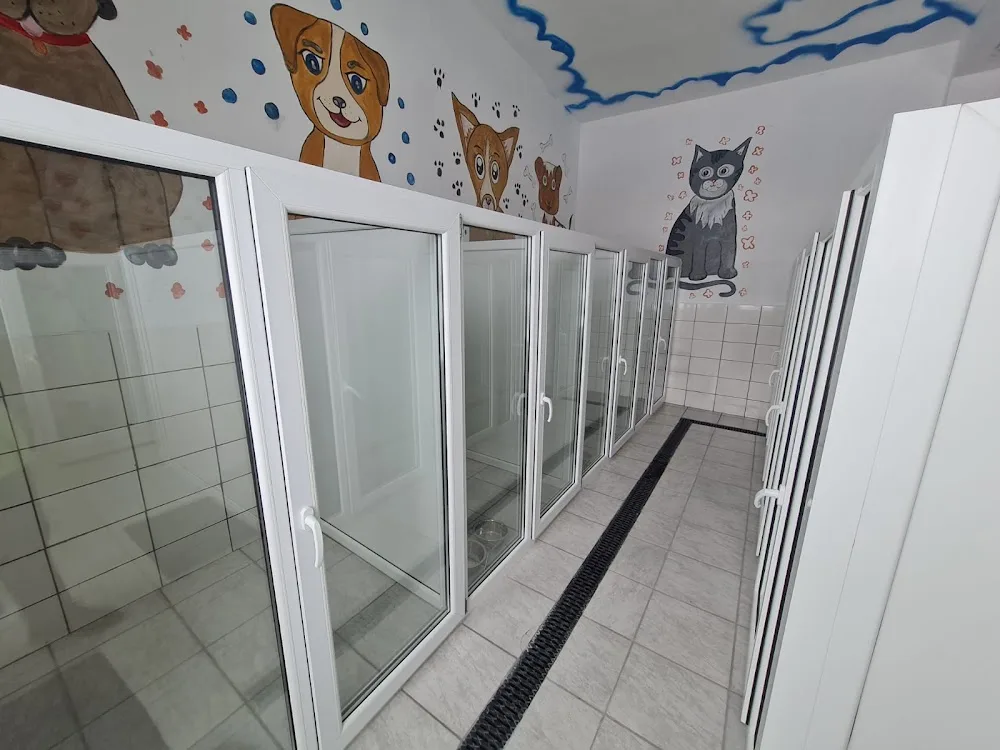 Pet Hotel Bacau - Bacău pet otel