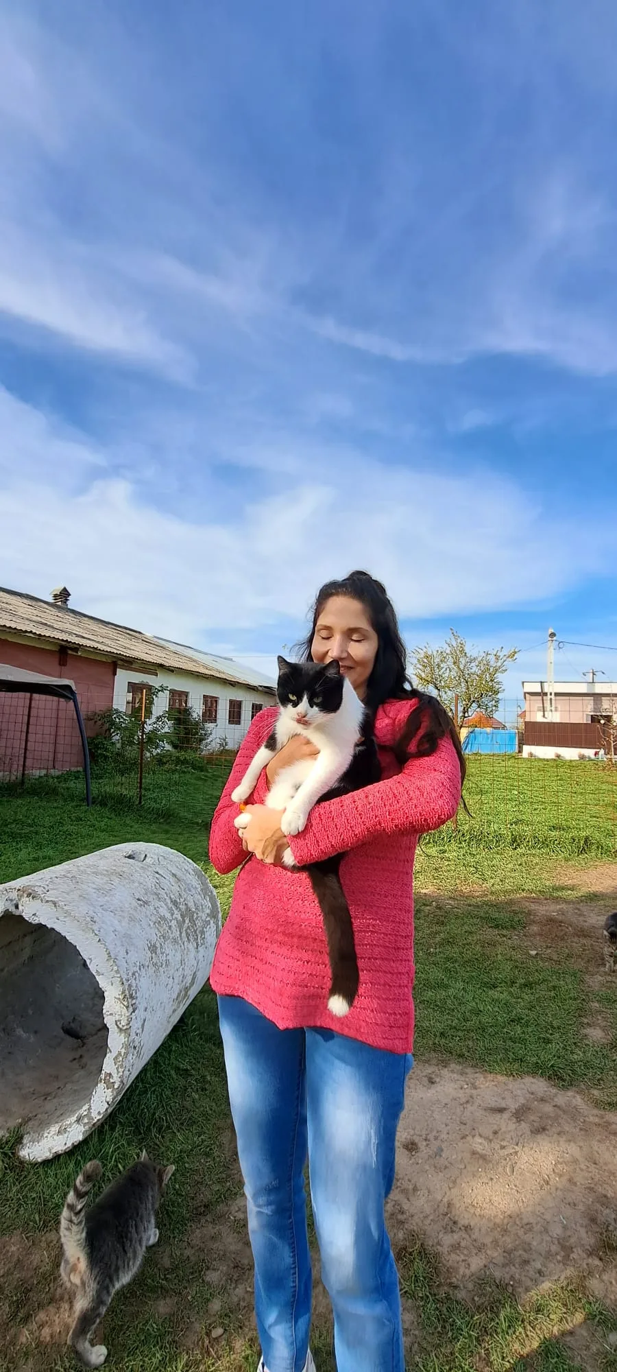 Ringo Land Romania. Adăpost privat pentru câini și pisici fără stăpân și centru de reabilitare câini - Bacău pet otel görseli 3