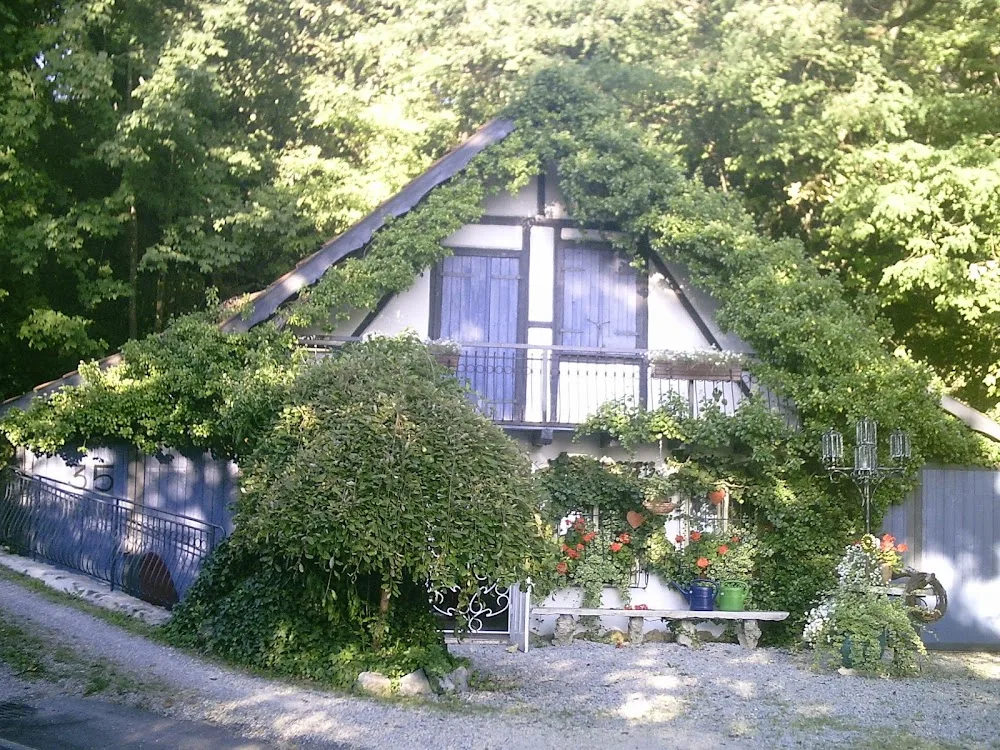 1,2,3 und du bist Dabei! - Backnang pet otel