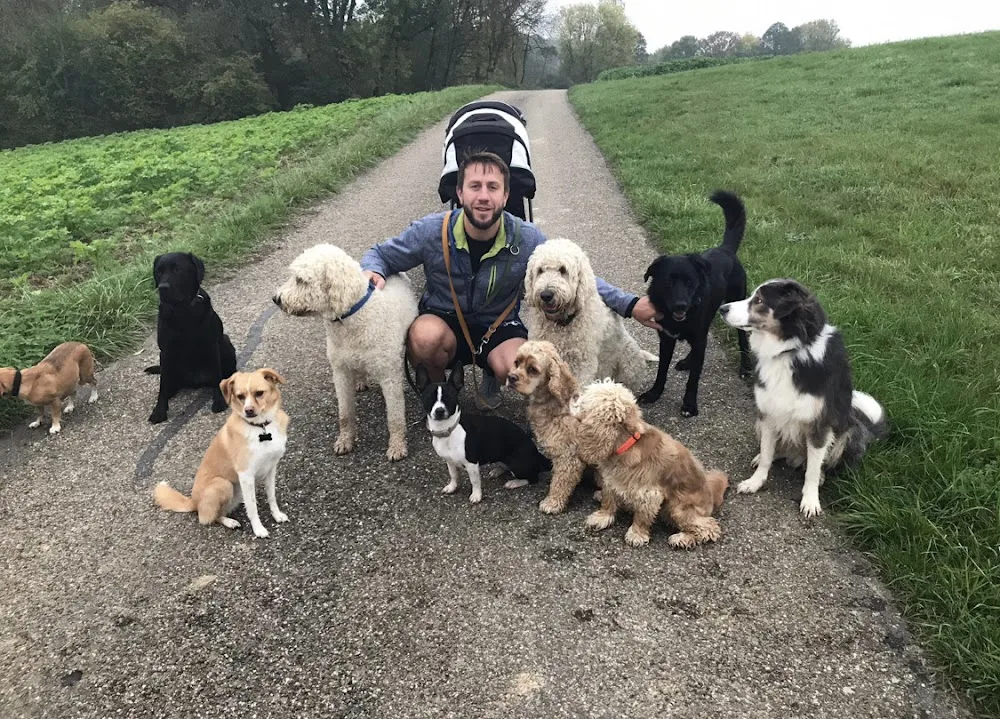 Hundepension & Futterberatung Juma's Hundeglück - Backnang pet otel görseli 3