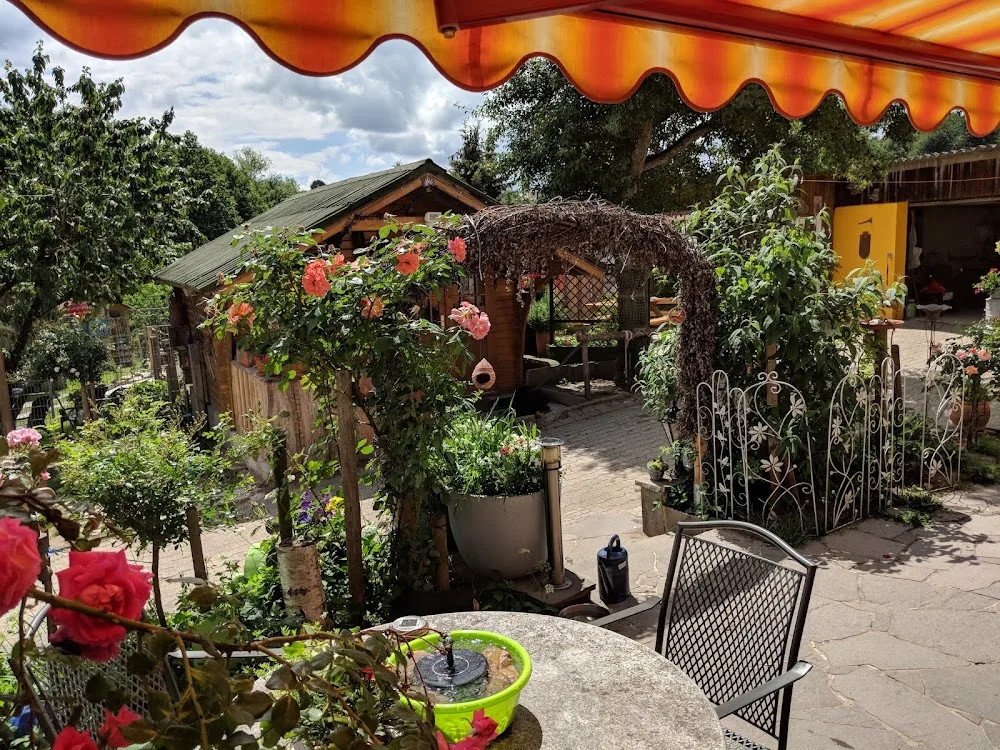 Hundepension Schlipf - Backnang pet otel