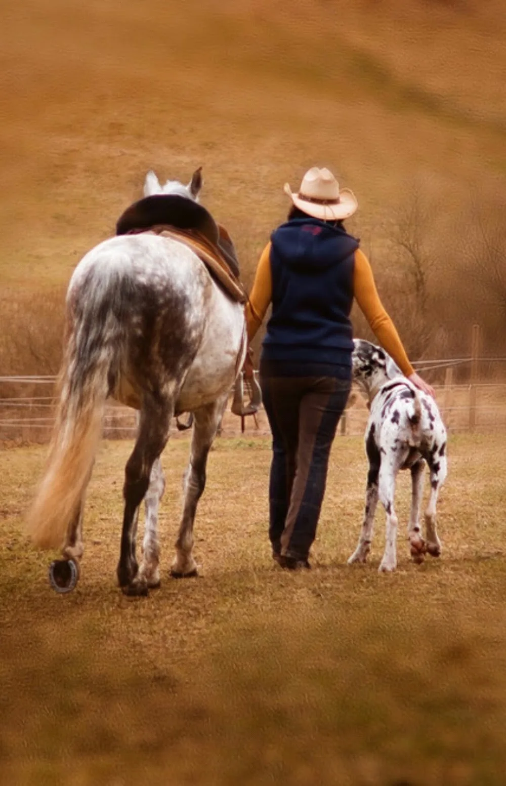 Hundepension Schlipf - Backnang pet otel görseli 3