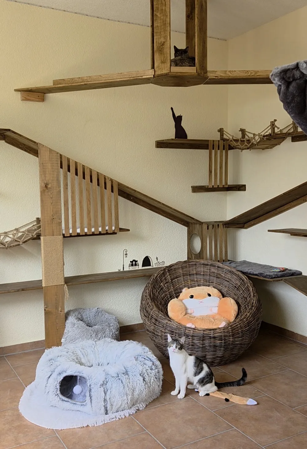 Katzenhotel der besonderen Art/ mobiler Haustierservice / Birgit Warrington (geb.Gröschel) - Backnang pet otel