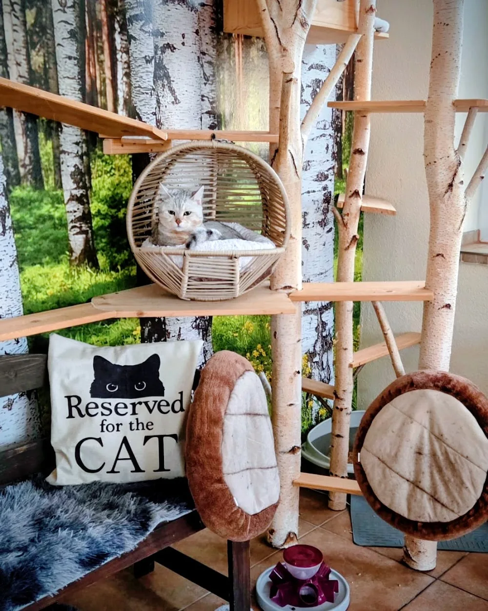Katzenhotel der besonderen Art/ mobiler Haustierservice / Birgit Warrington (geb.Gröschel) - Backnang pet otel görseli 3