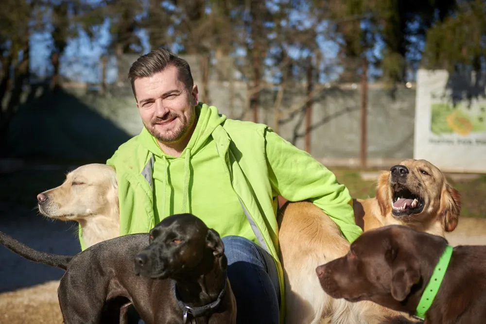 Königreich - Hotel für Tiere - Backnang pet otel