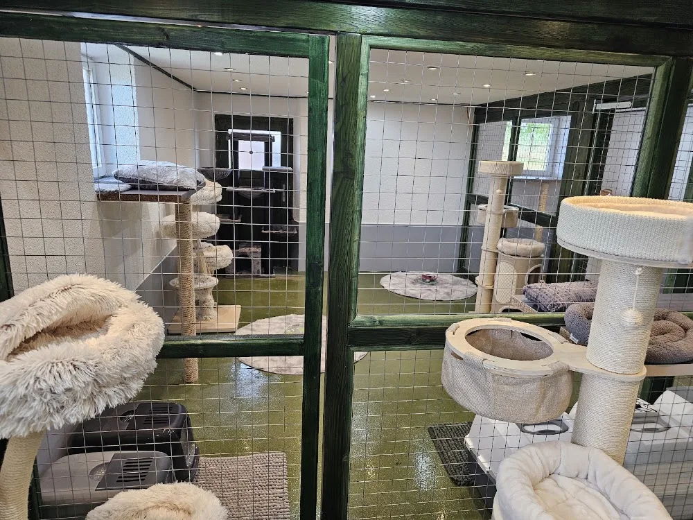 Tierhotel Panama - Backnang pet otel görseli 2