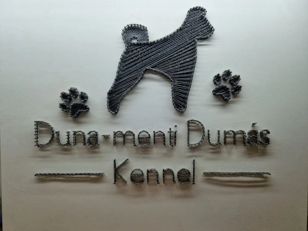 Duna-menti Dumás Kennel - Bács-Kiskun pet otel görseli 3