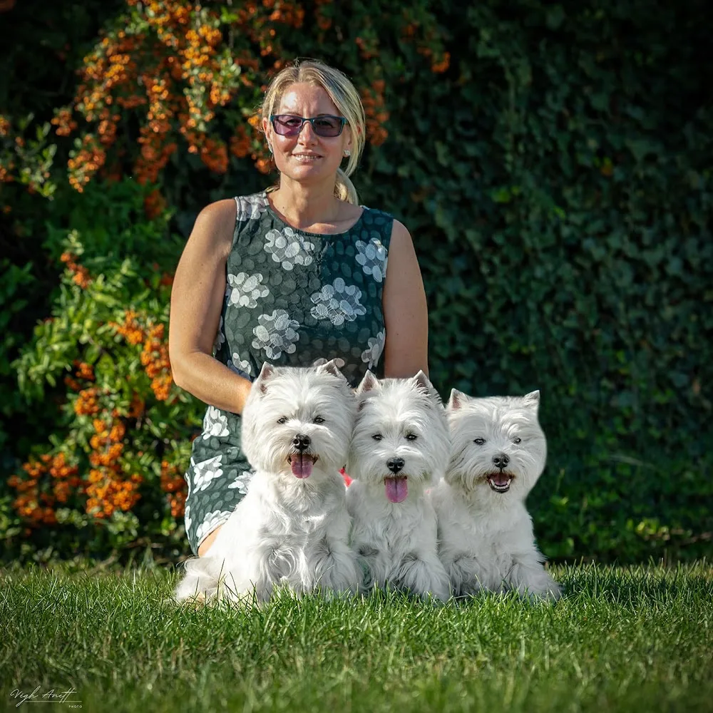 Westie Kennel - Bács-Kiskun pet otel görseli 2