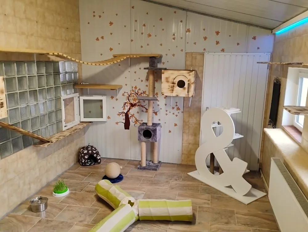 Hunde- und Katzenhotel Großenpinning - Bad Birnbach pet otel görseli 3