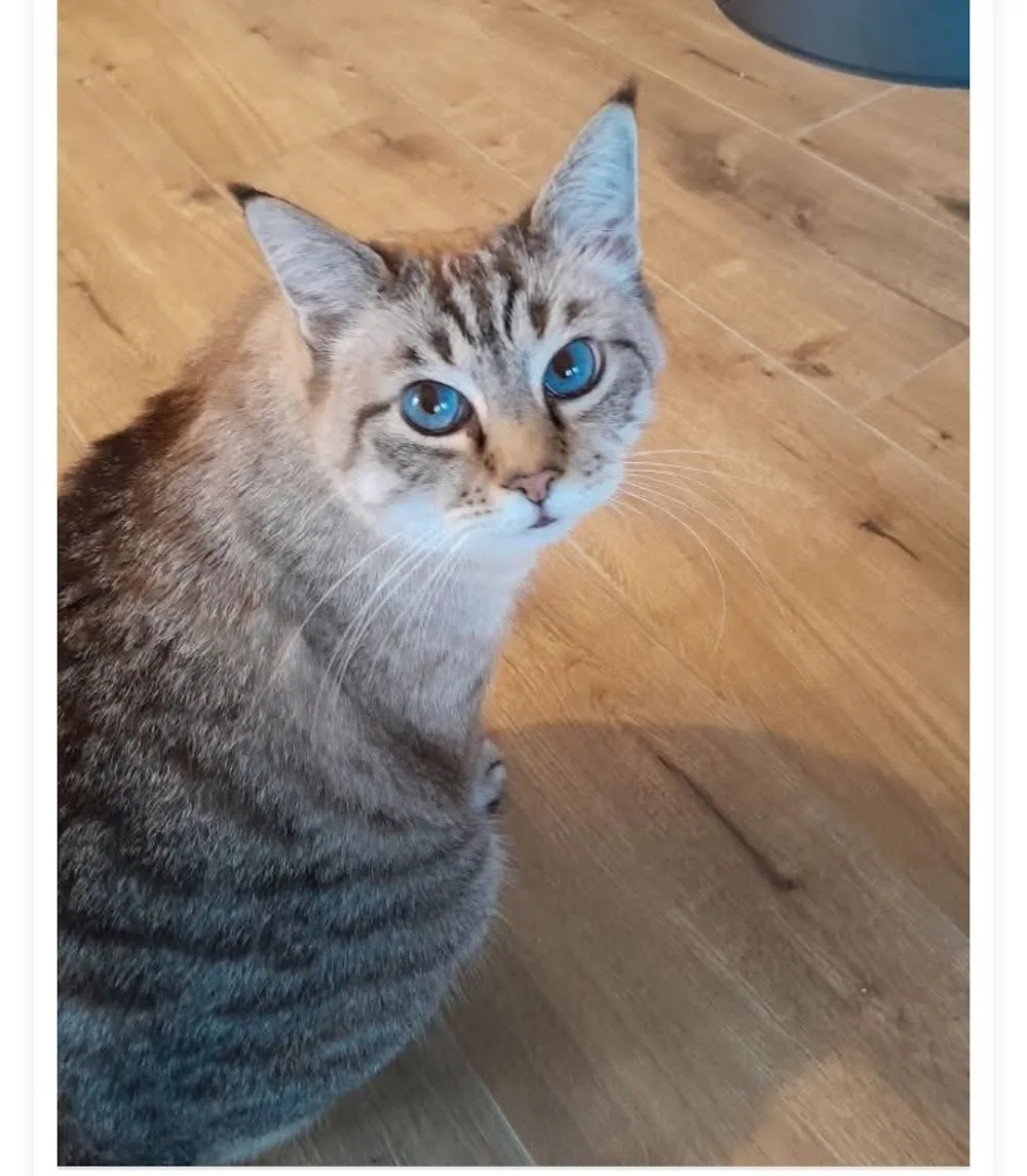 Unsere kleine Tierpension - Bad Birnbach pet otel