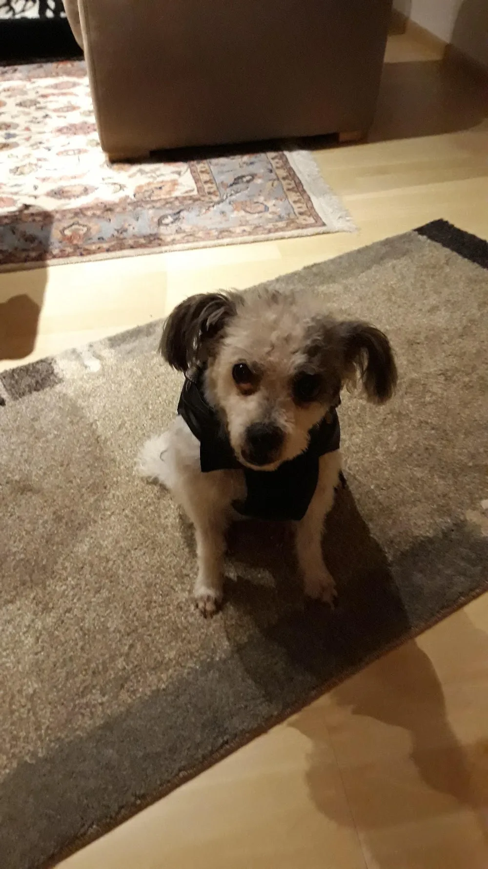Elke Hahn - Hundebetreuung - Bad Endbach pet otel