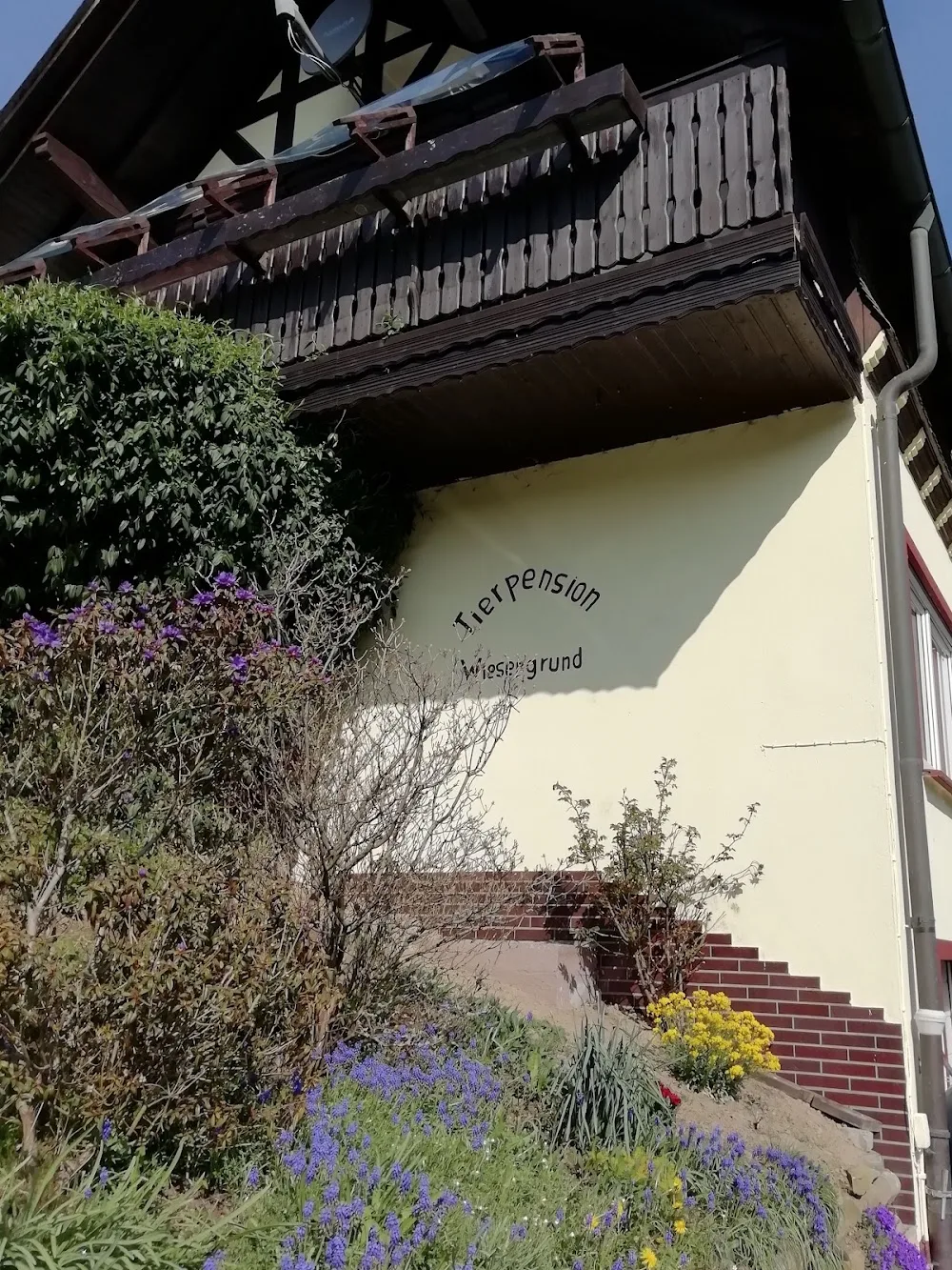 Tierpension Wiesengrund - Bad Endbach pet otel görseli 3
