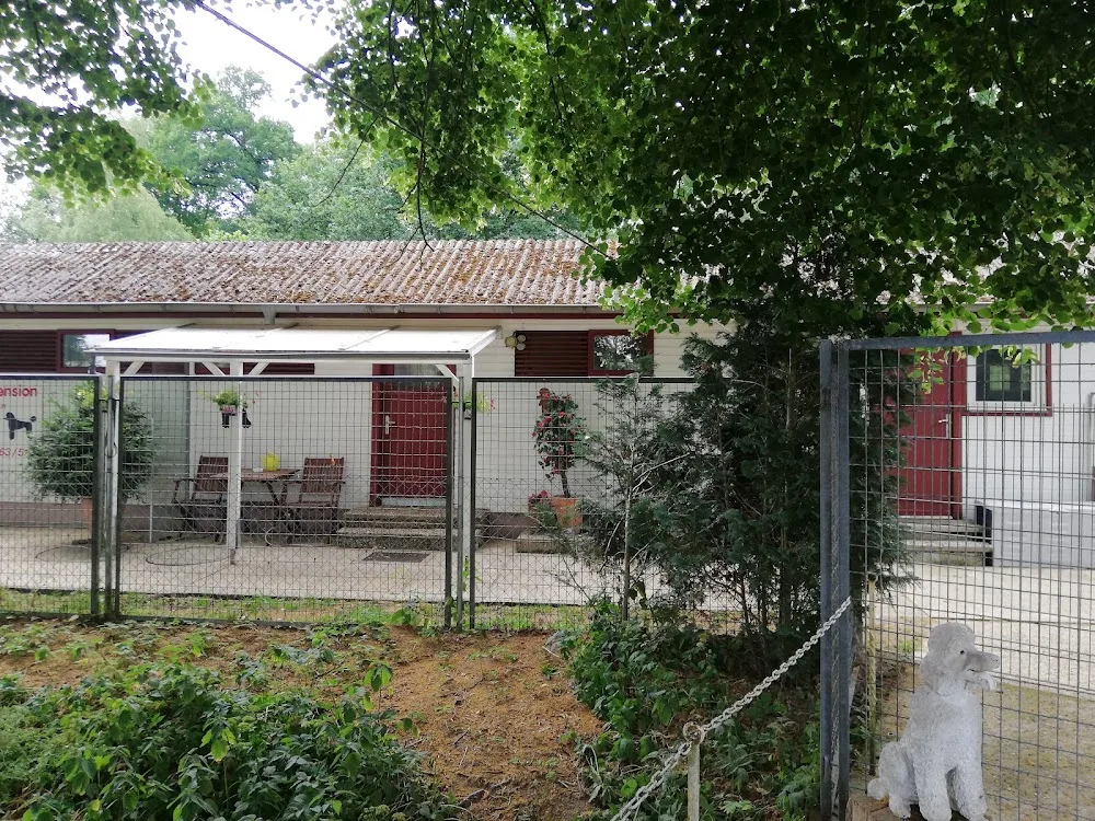 Block - Bad Fallingbostel pet otel