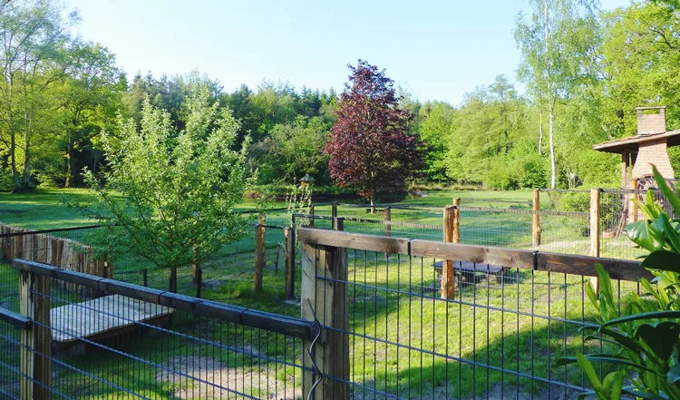 Hundepension Bassel - Bad Fallingbostel pet otel