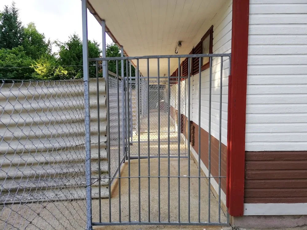 Hundepension und Salon Jettebruch - Bad Fallingbostel pet otel görseli 3