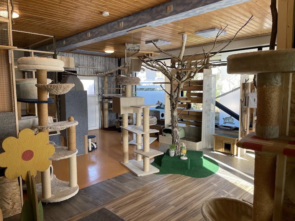 Katzenresidenz Celle - Bad Fallingbostel pet otel