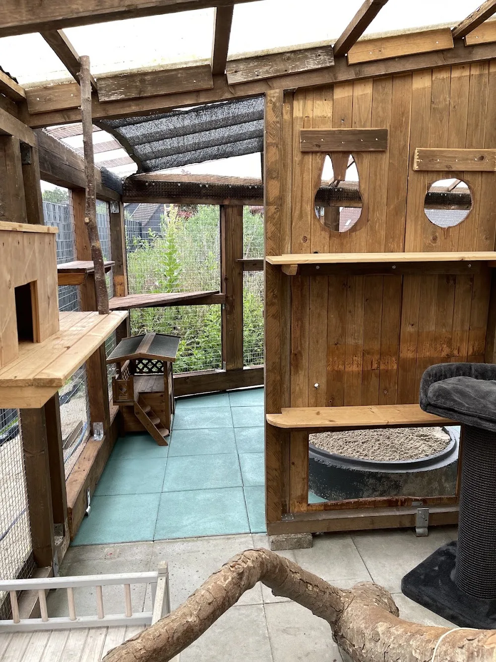 Katzenresidenz Celle - Bad Fallingbostel pet otel görseli 3