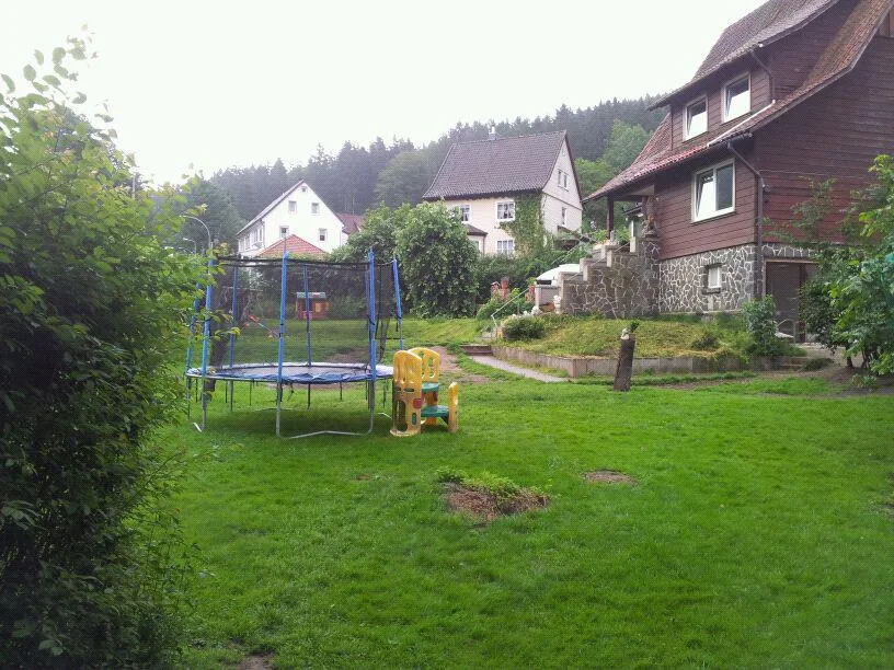 Bea's Hundepension - Bad Harzburg pet otel görseli 3