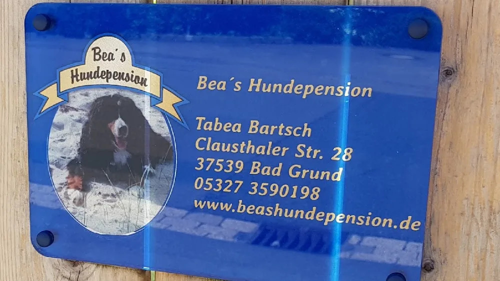 Bea's Hundepension - Bad Harzburg pet otel görseli 6