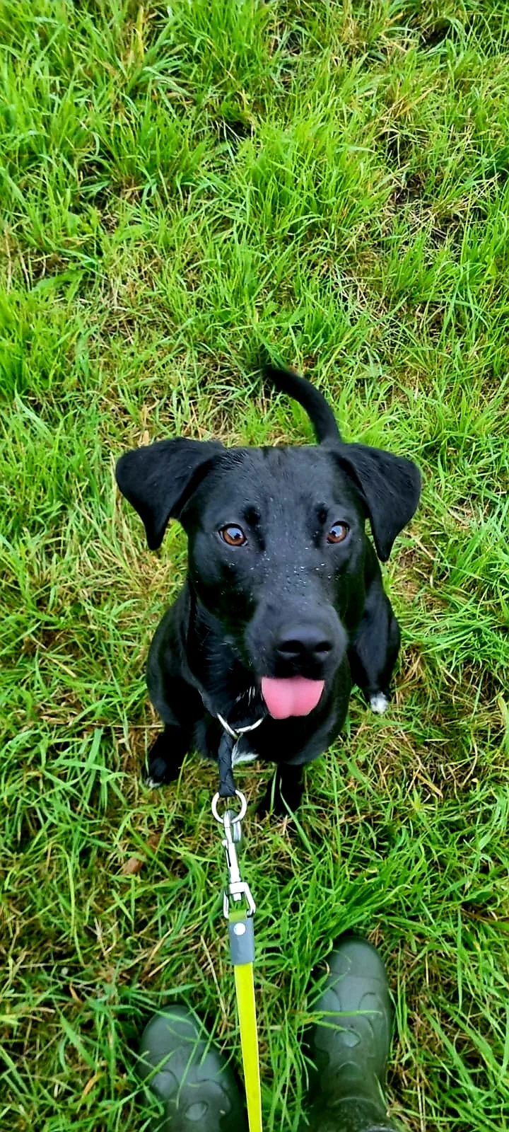 Pfotenwald - Tierzentrum Deersheim - Bad Harzburg pet otel görseli 7