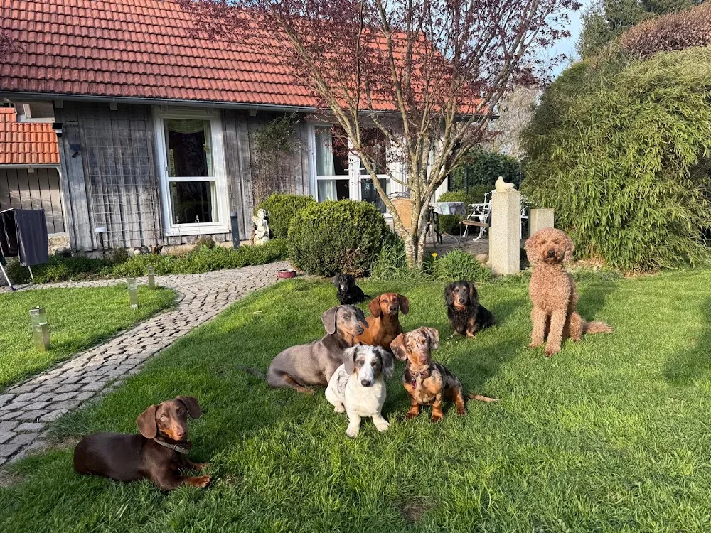 Dog Resort Allgäu - Bad Waldsee pet otel