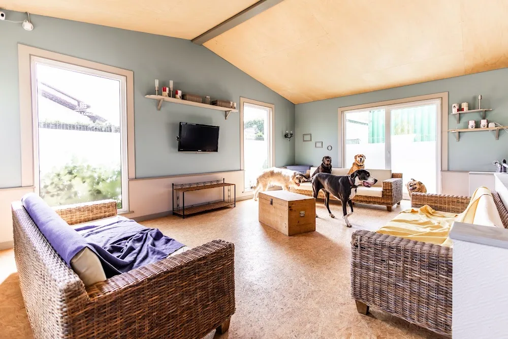 Hundehotel Dog Lodge - Deutschlands beste Hundepension - Bad Waldsee pet otel görseli 3