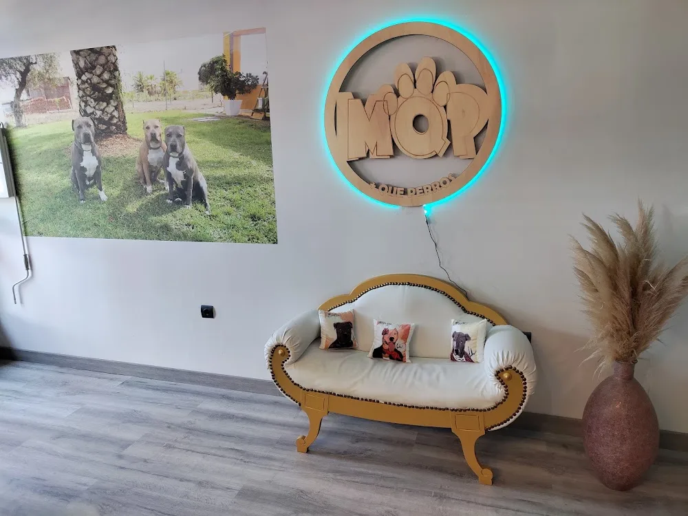 MAS QUE PERROS - Badajoz pet otel