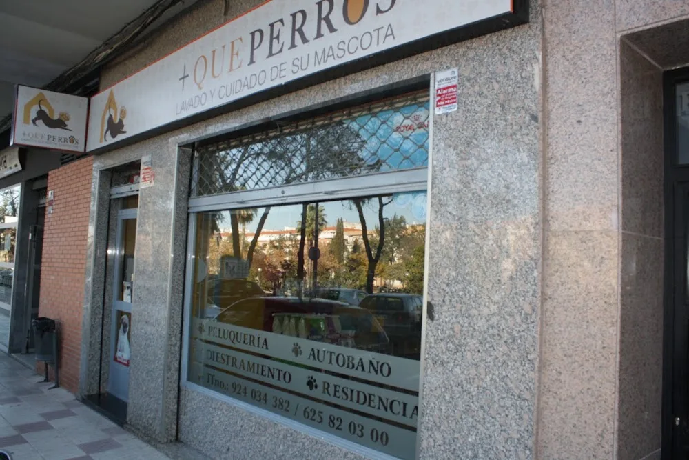 MAS QUE PERROS - Badajoz pet otel görseli 3