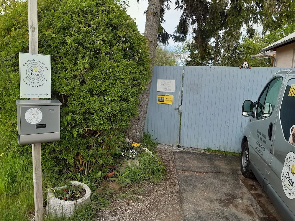 4 LuckyDogs - Hundepension - Baden-Württemberg pet otel