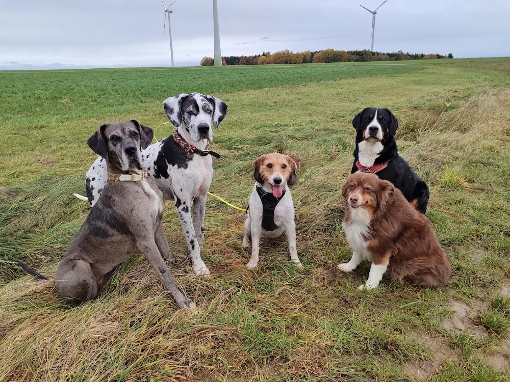 Hundepension Ostalb - Baden-Württemberg pet otel
