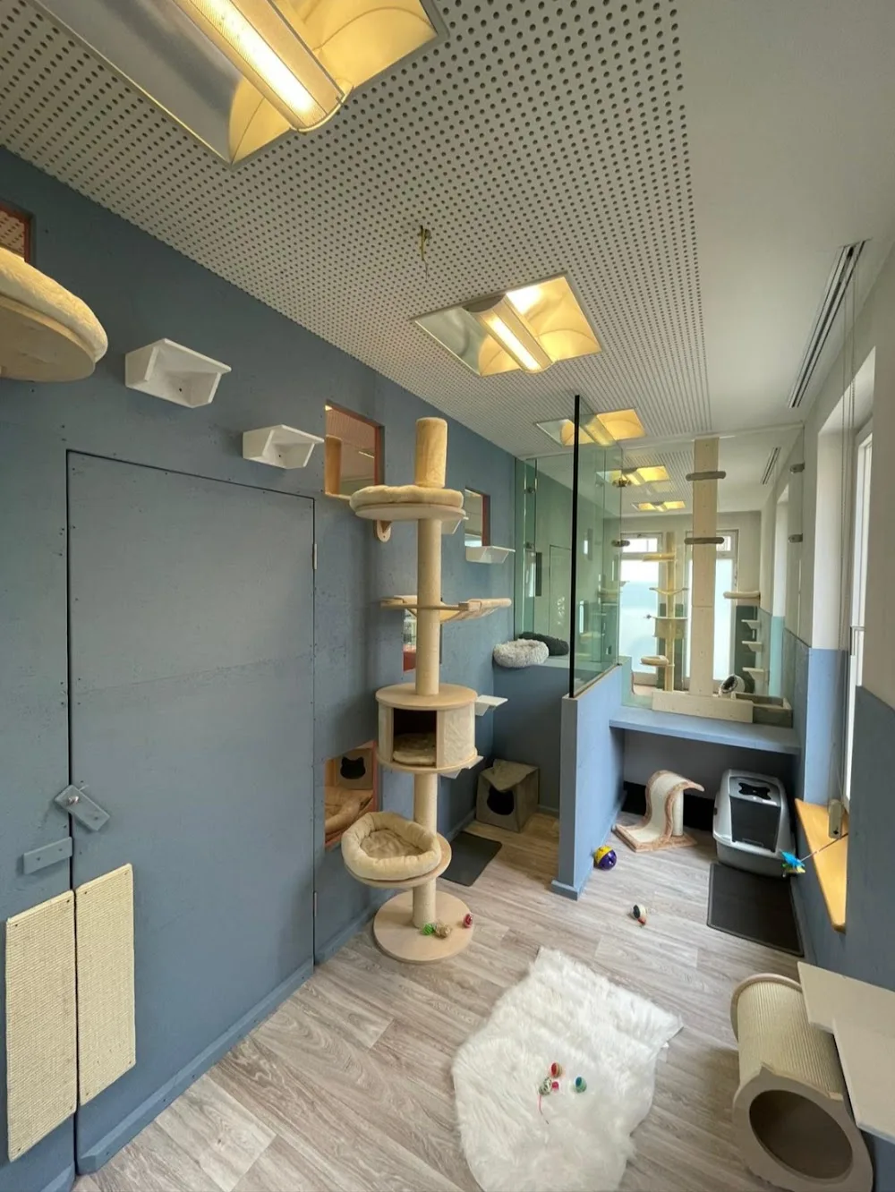 LeVa Tierbetreuung - Baden-Württemberg pet otel görseli 2