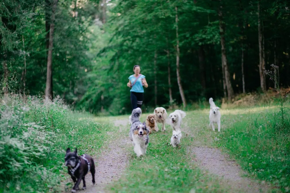Silke's Hundebetreuung - Baden-Württemberg pet otel görseli 3
