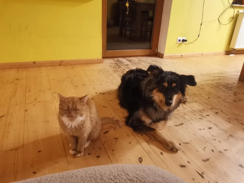 Steffi's Kleine Tierpension - Baden-Württemberg pet otel görseli 3