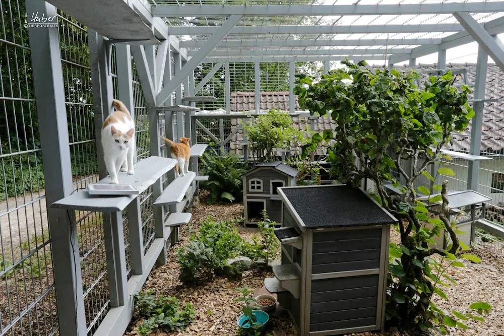 Tierpension Erlenhof (nur Katzen) - Baden-Württemberg pet otel görseli 3