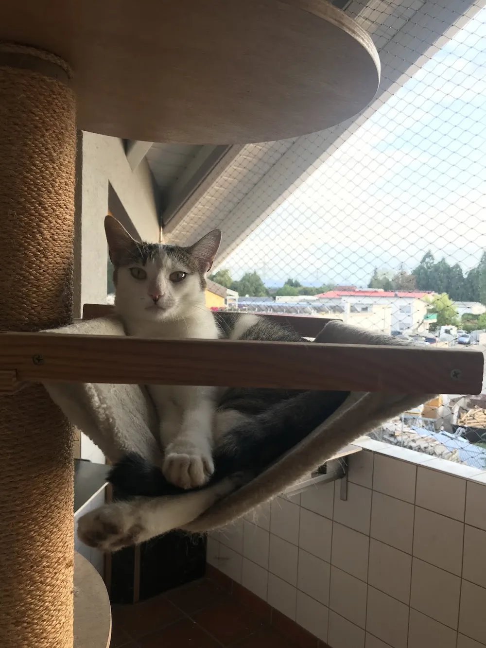 Tierpension Maier - Baden-Württemberg pet otel görseli 3