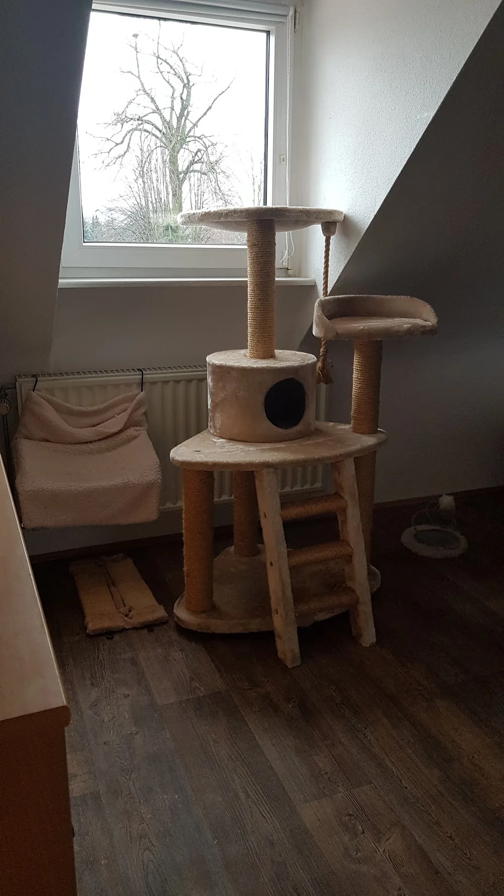 Katzenpension DeLuxe - Baesweiler pet otel görseli 3