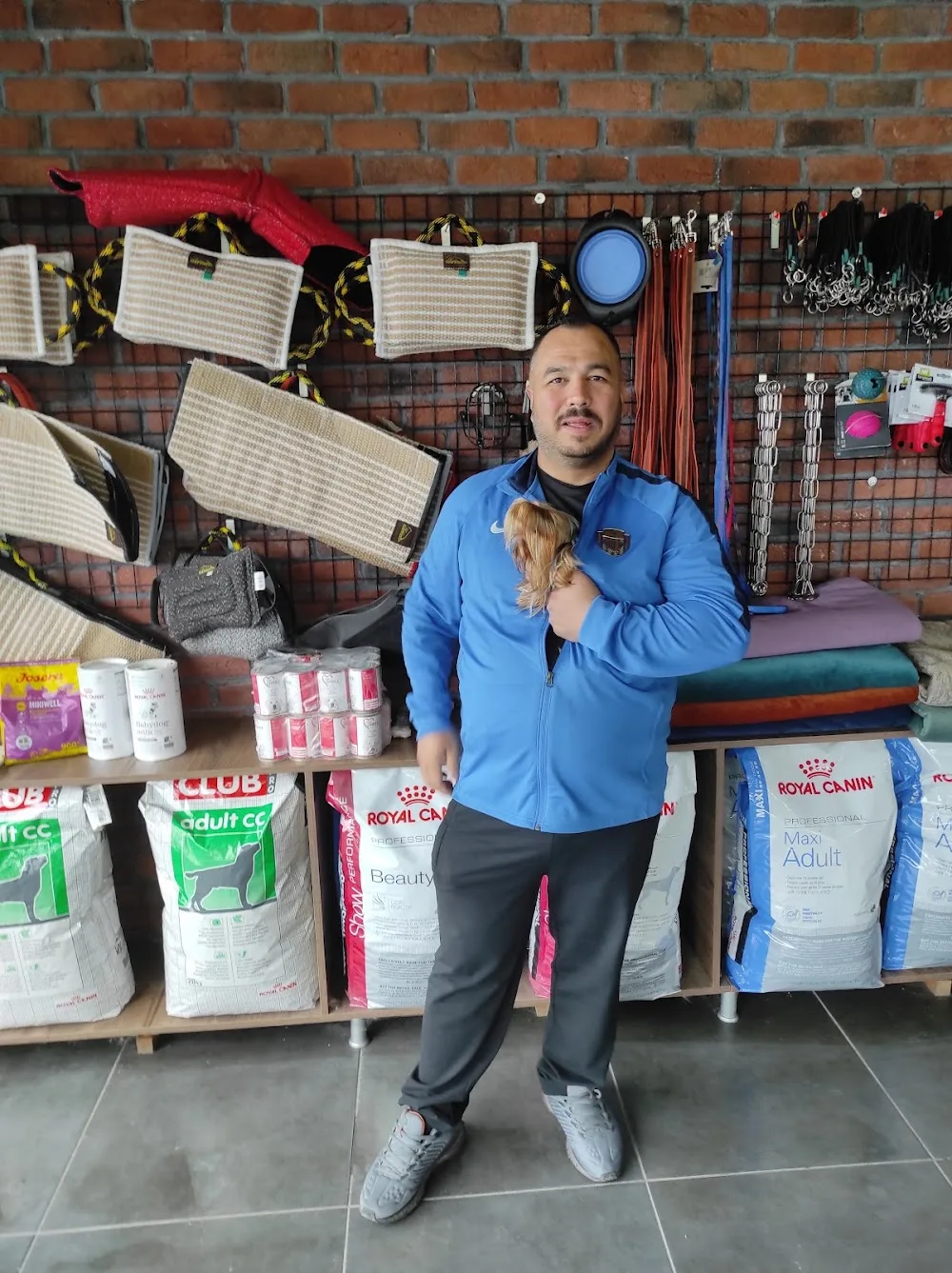 Dog School Köpek Eğitim Merkezi ve Oteli - Baghestan pet otel görseli 3