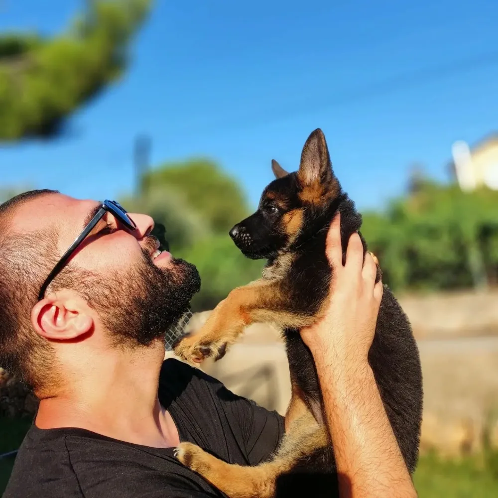 Köpek Eğitimi Merkezi - Pet Oteli ve Pansiyon Çiftliği - Köpek Eğitmeni Murat Güngör İstanbul - Baghestan pet otel görseli 2