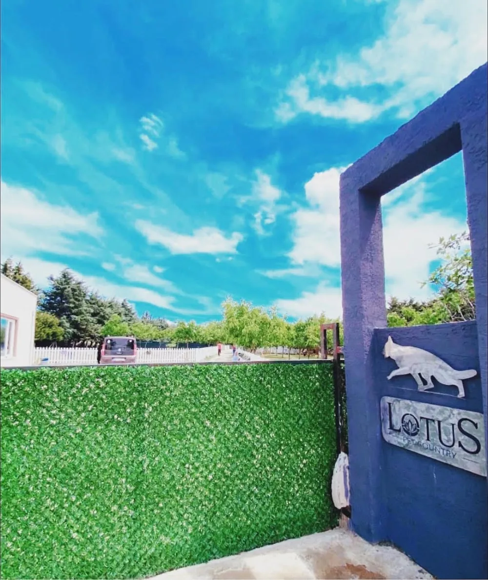 Lotus Pet Country Köpek Hotel & Pansiyon ve Eğitim Hizmetleri - Baghestan pet otel görseli 2