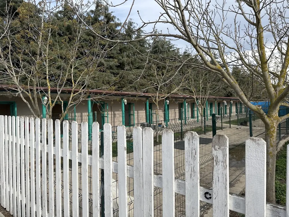 Lotus Pet Country Köpek Hotel & Pansiyon ve Eğitim Hizmetleri - Baghestan pet otel görseli 3