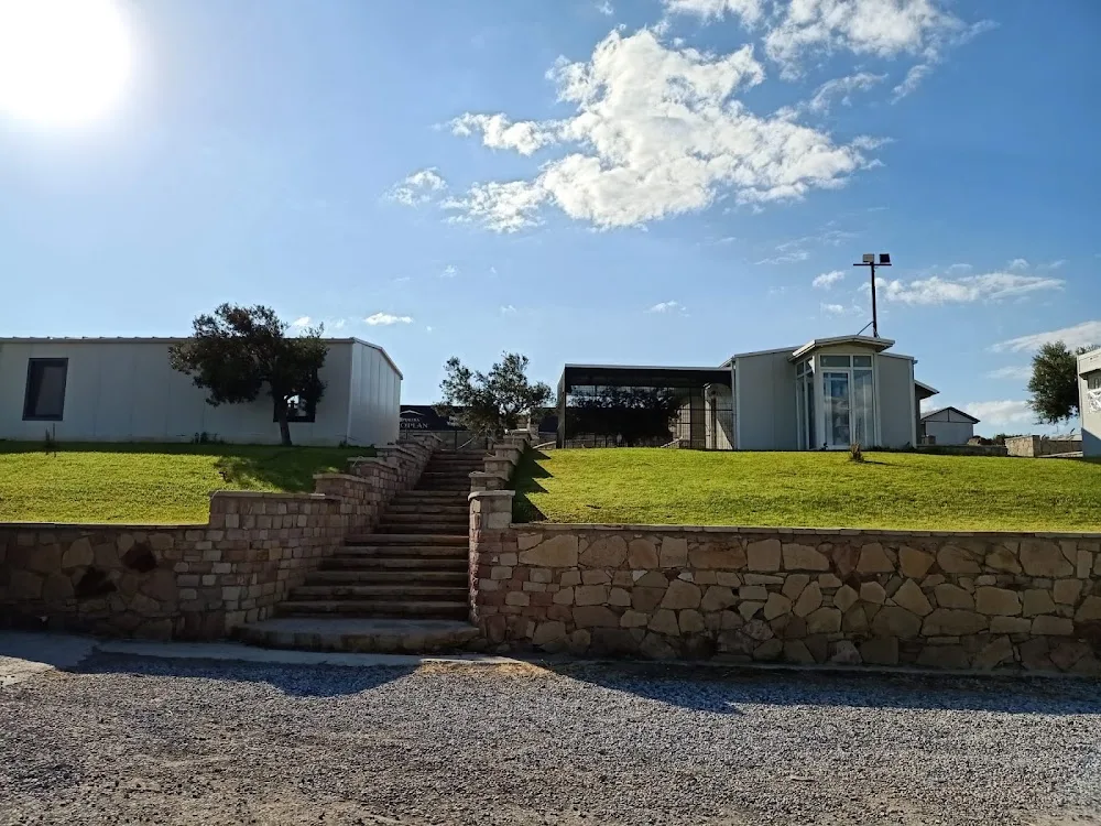 Pet Campus - Baghestan pet otel görseli 2
