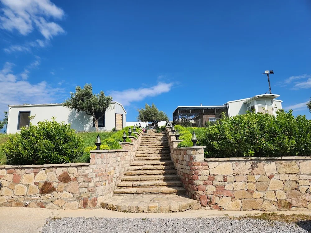 Pet Campus - Baghestan pet otel görseli 3