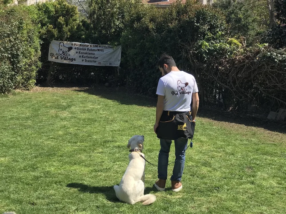PetVillage Academy Köpek Oteli - Baghestan pet otel görseli 7