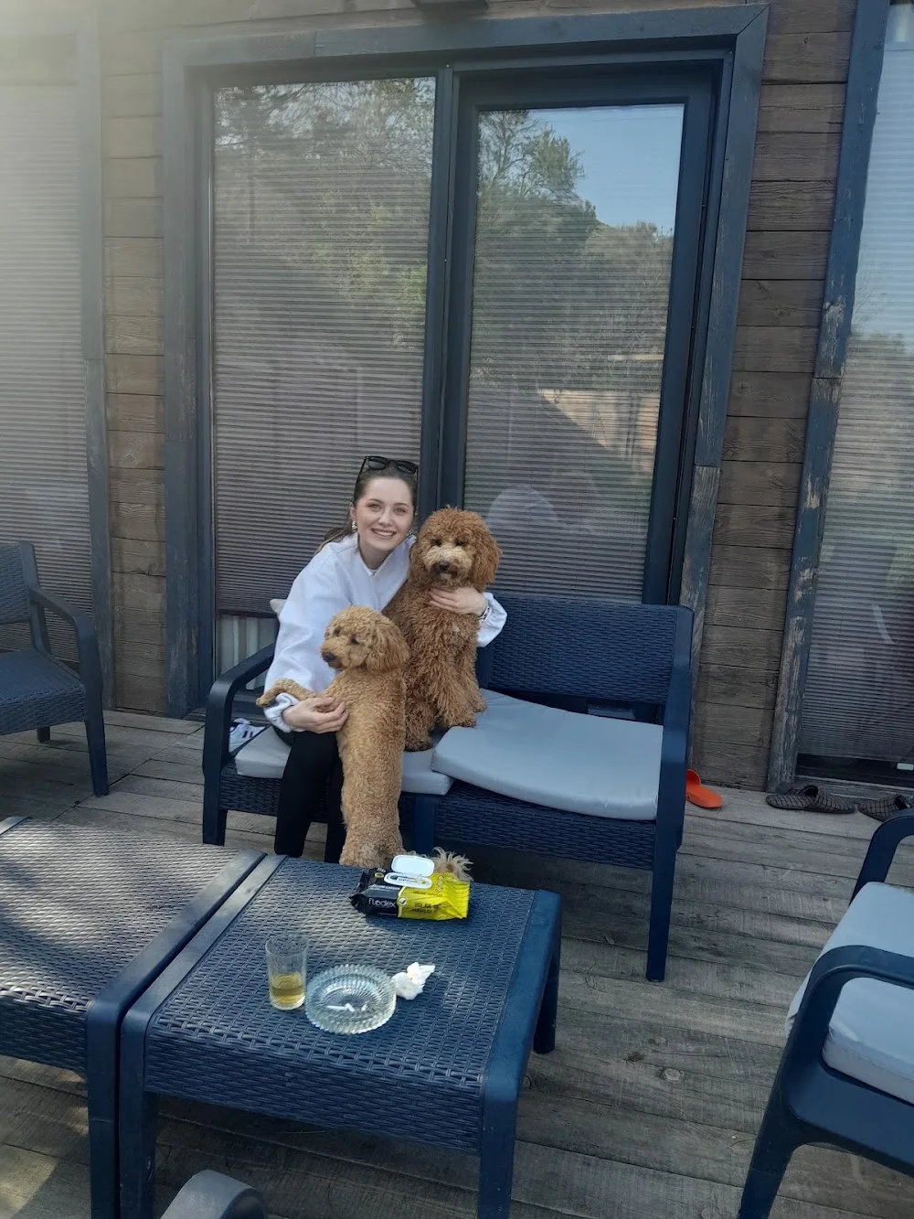 Bahçeşehir Köpek Oteli - Istanbul pet otel